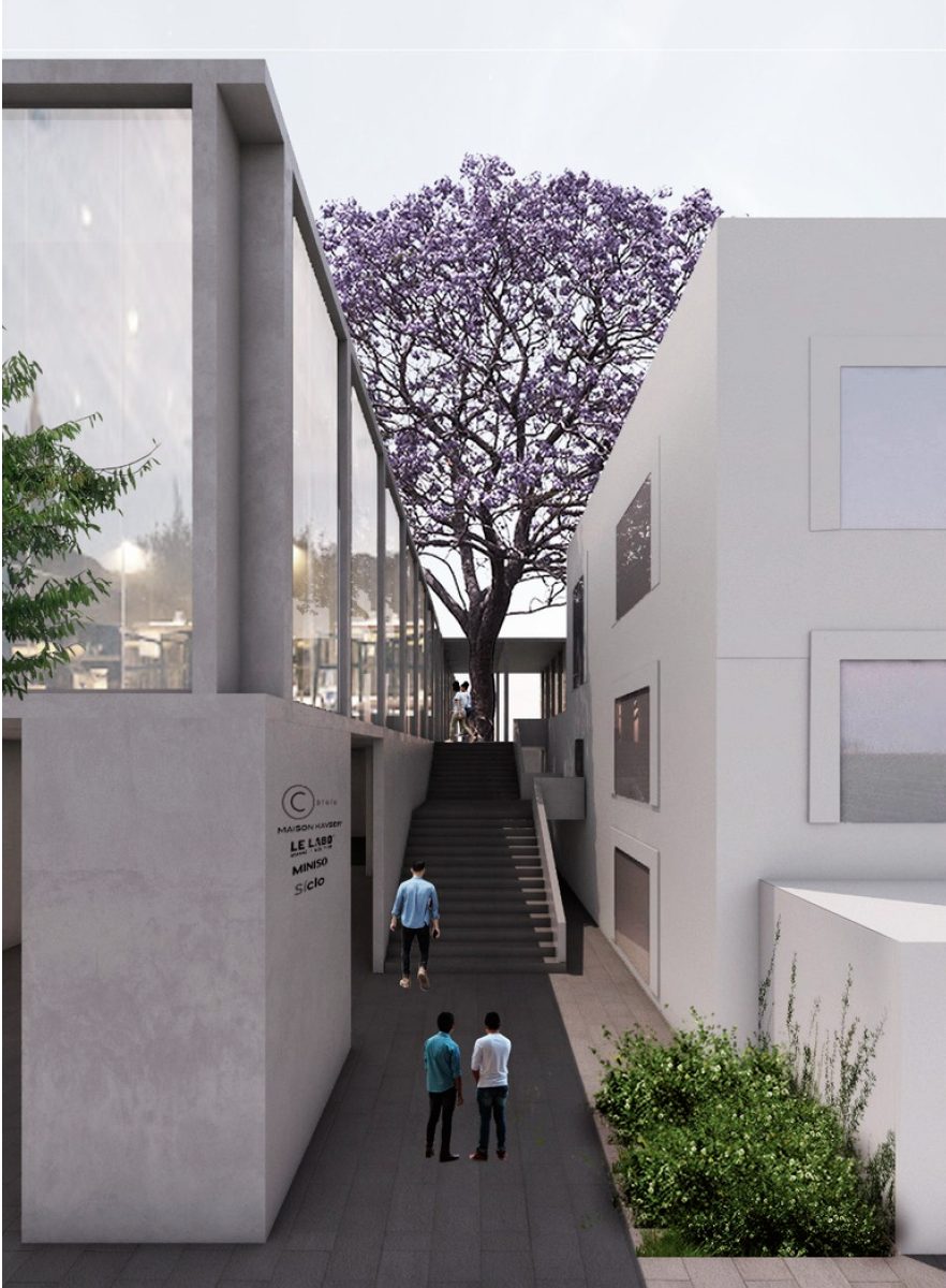 Render vertical de la escalinata y jacaranda de Andador Altavista