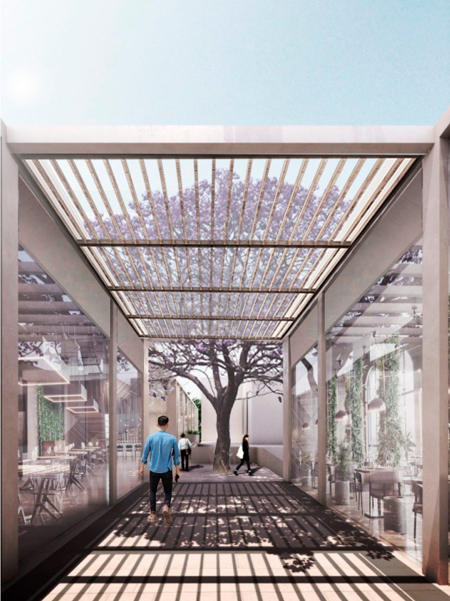 Pérgola y andador arbolado de la terraza de Andador Altavista